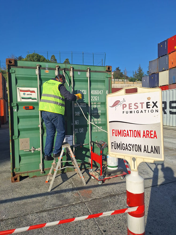 Pestex İlaçlama